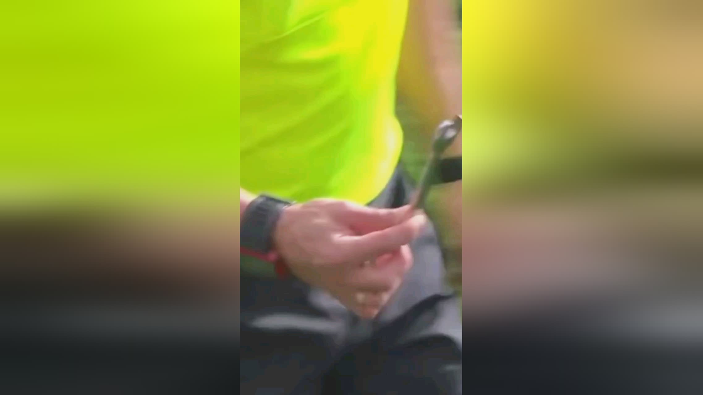 代球